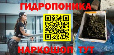 mdpv Краснознаменск