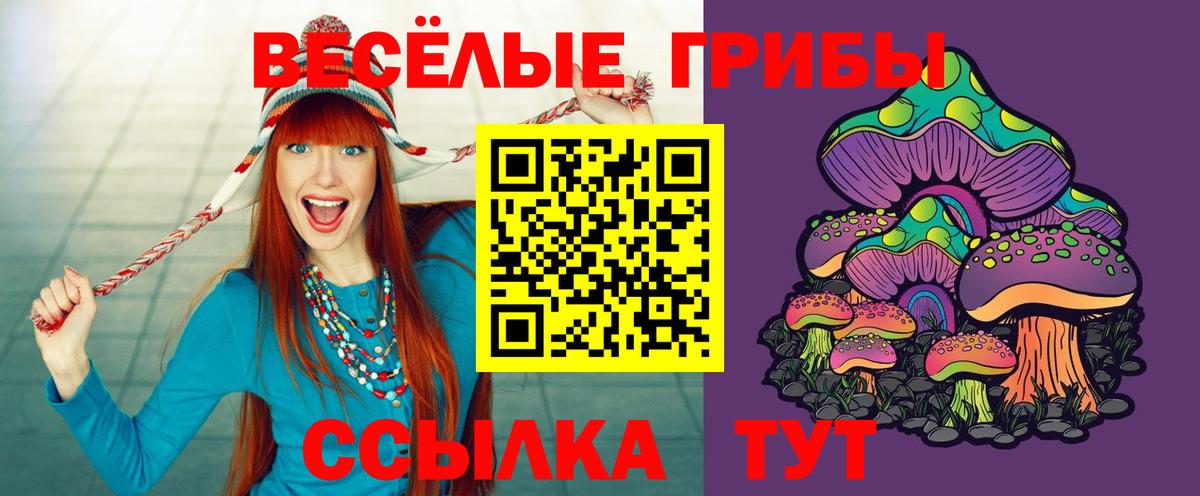 Псилоцибиновые грибы мицелий Кохма