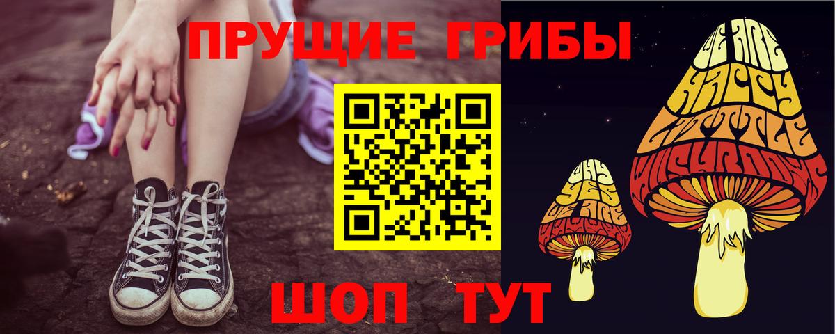 Кохма  Галлюциногенные грибы мицелий  Псилоцибиновые грибы мухоморы  Вход с VPN 